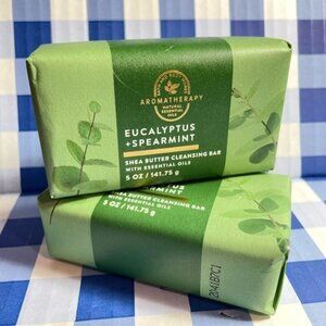 2-Pack ~Aromatherapy ~Bath And Body Works EUCALYPTUS + SPEARMINT Cleansi…